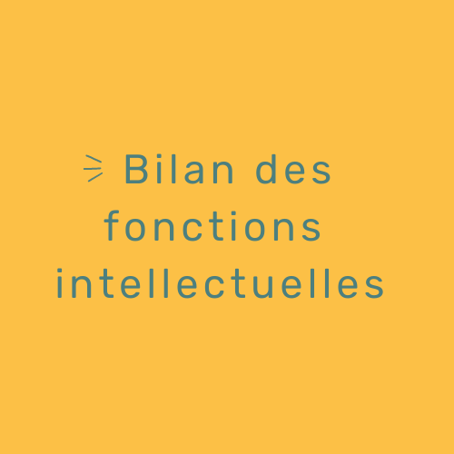 Bilan FI