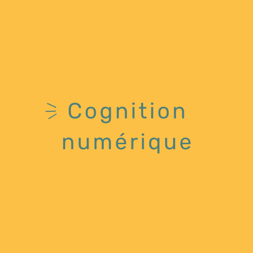 Cognition numérique