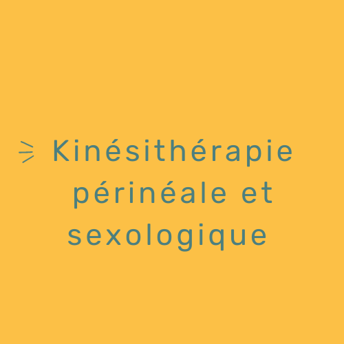 Kiné périnéale et sexo